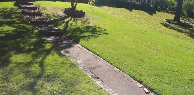 Manicured striped lawn