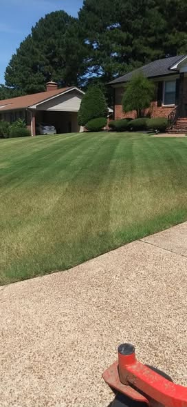 Striped Front Lawn