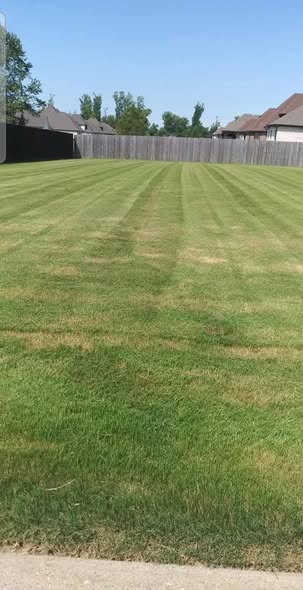 Manicured Backyard