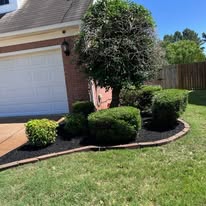 Shrub & Bed Detail